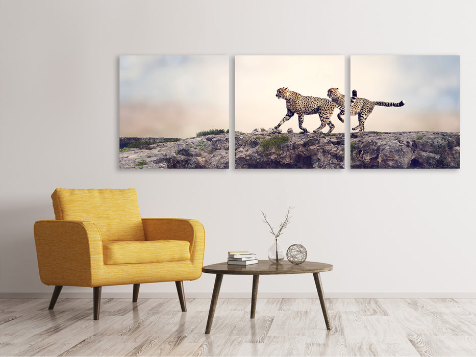 Panoramic 3-piece canvas picture Two cheetahs