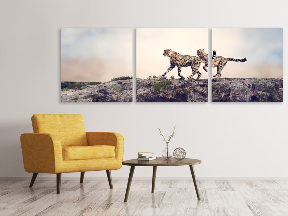 Panoramic 3-piece canvas picture Two cheetahs