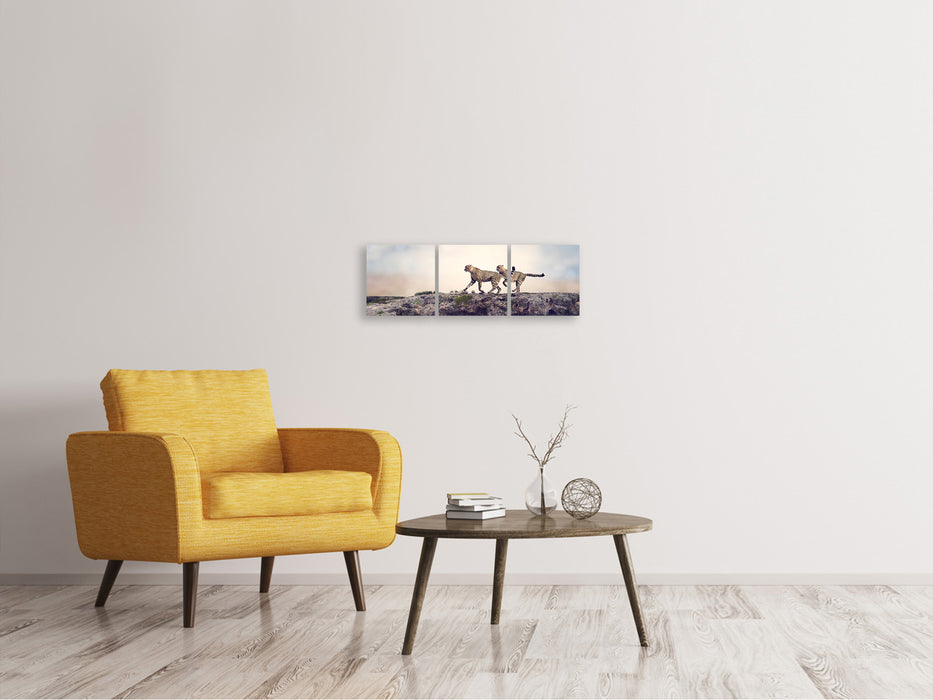 Panoramic 3-piece canvas picture Two cheetahs