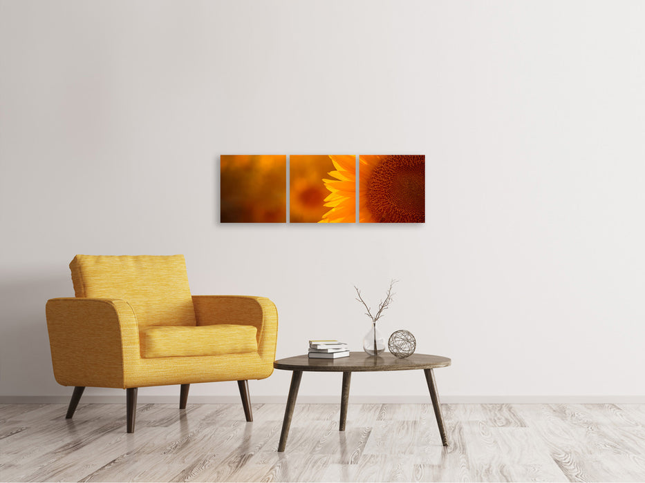 Panorama 3-piece canvas picture Macro sunflower