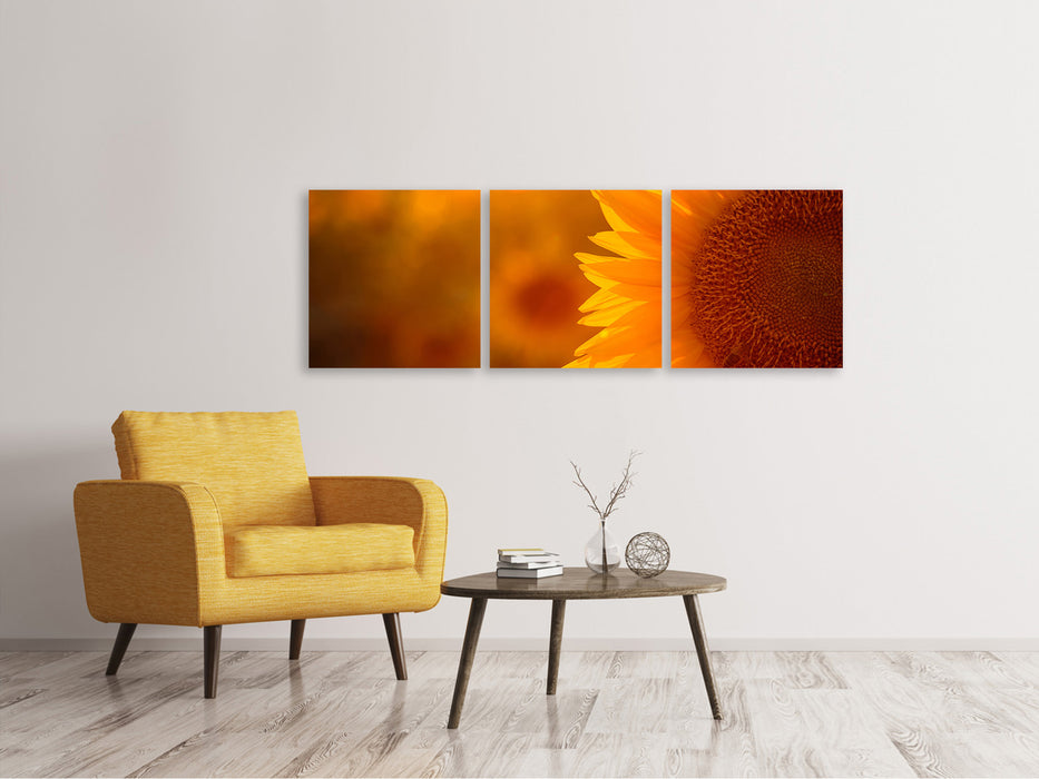 Panorama 3-piece canvas picture Macro sunflower