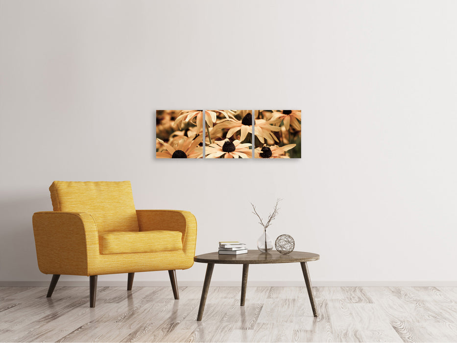 Panoramic 3-piece canvas picture daisies in sepia