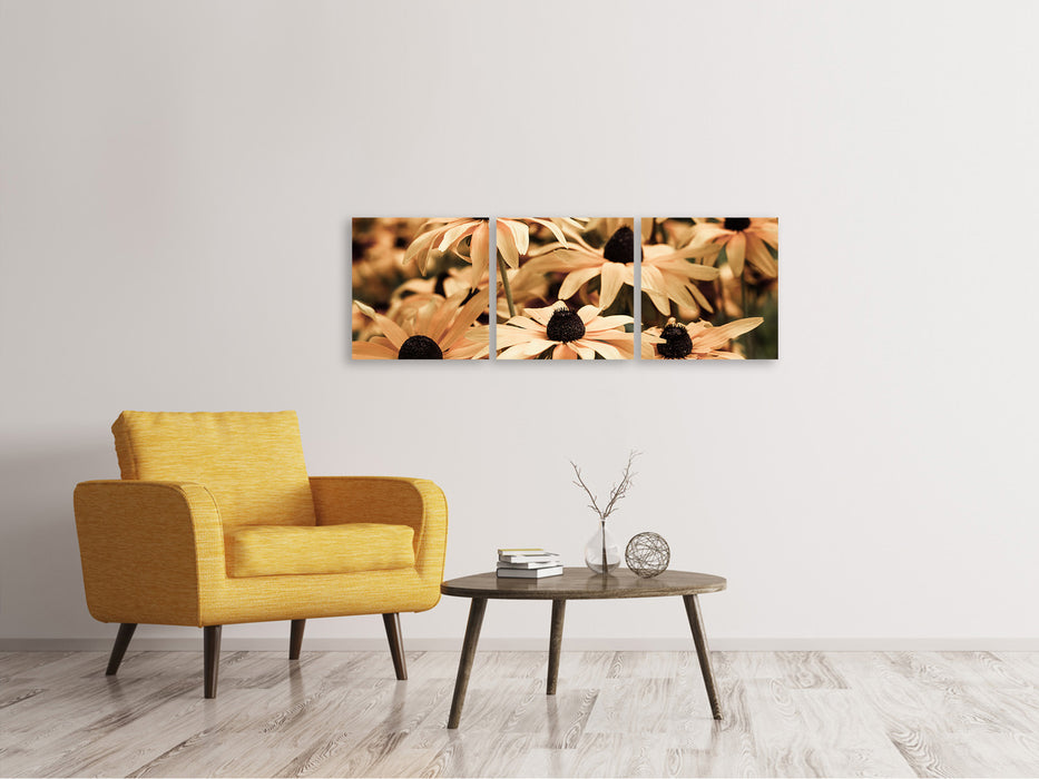 Panoramic 3-piece canvas picture daisies in sepia