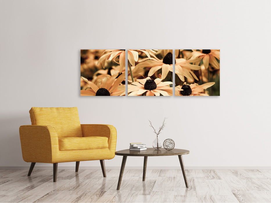 Panoramic 3-piece canvas picture daisies in sepia