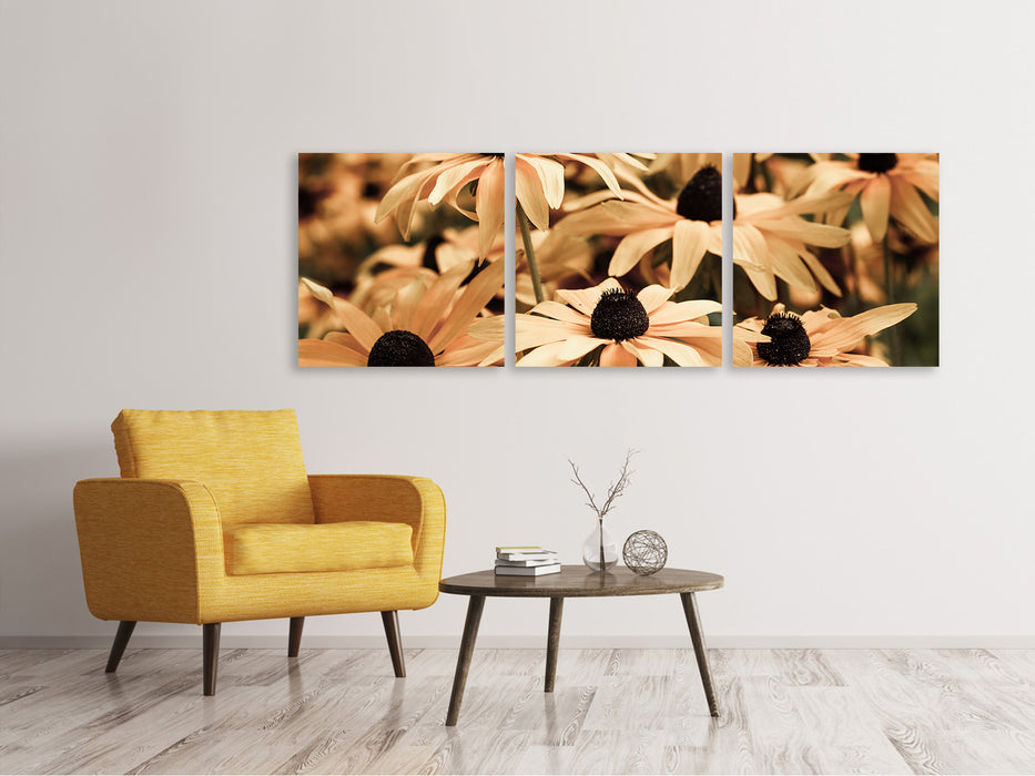 Panoramic 3-piece canvas picture daisies in sepia