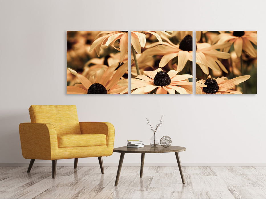 Panoramic 3-piece canvas picture daisies in sepia