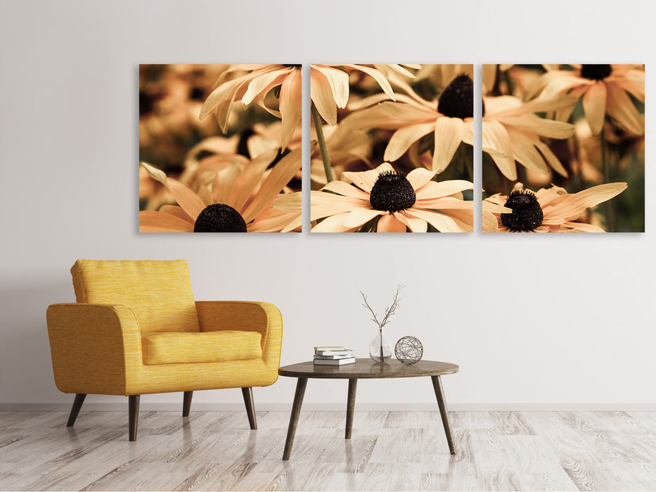 Panoramic 3-piece canvas picture daisies in sepia