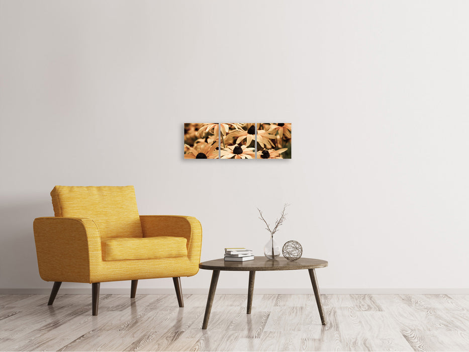 Panoramic 3-piece canvas picture daisies in sepia