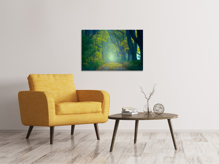 Canvas print Green forest