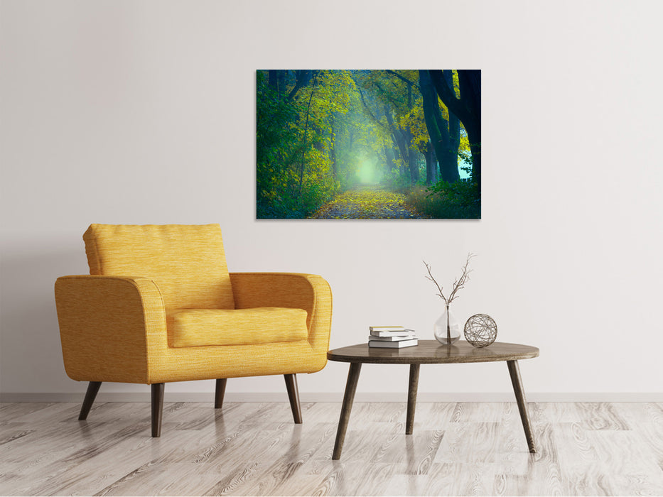 Canvas print Green forest