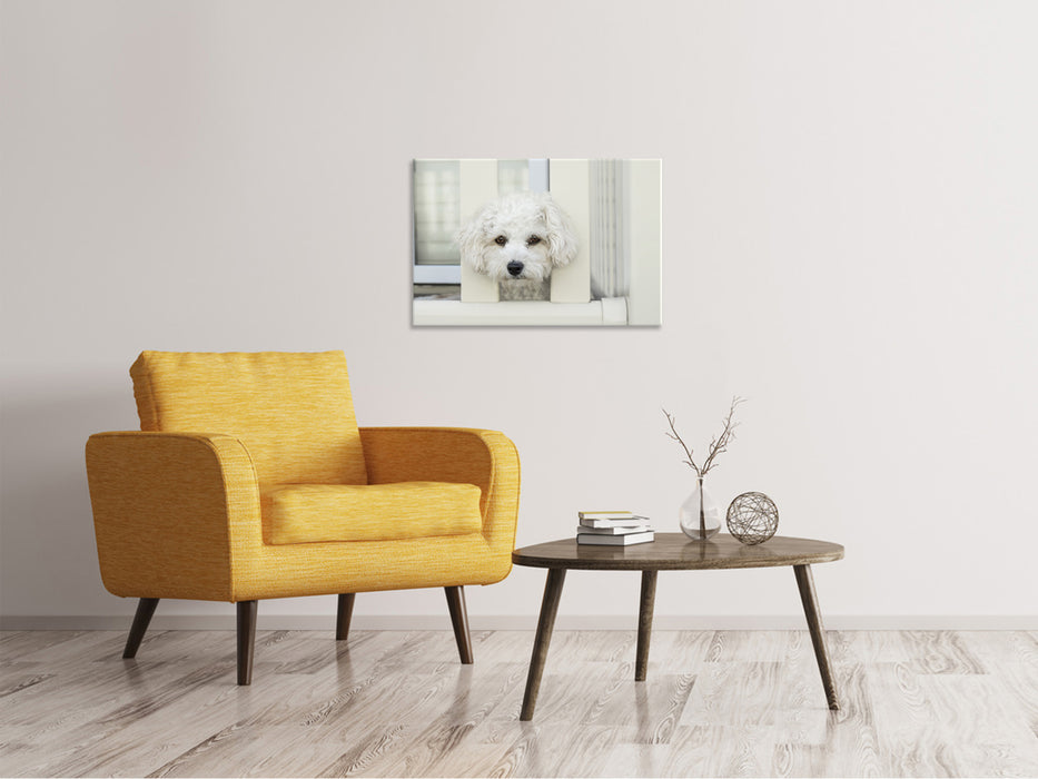 Canvas print A dog girl to fall in love with