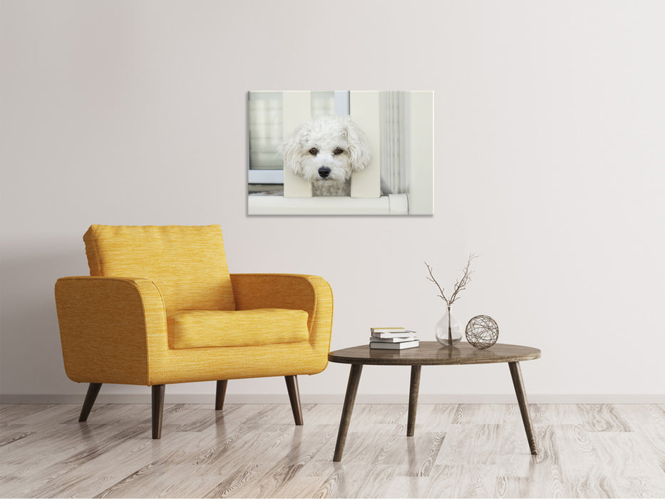 Canvas print A dog girl to fall in love with