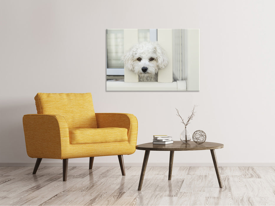 Canvas print A dog girl to fall in love with