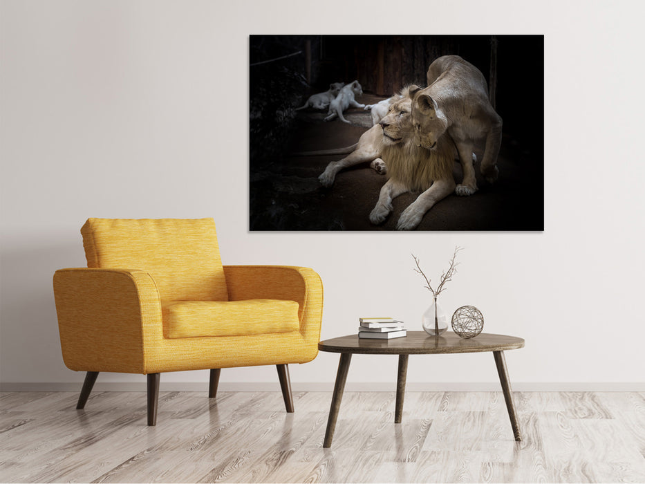 Canvas print The lion couple