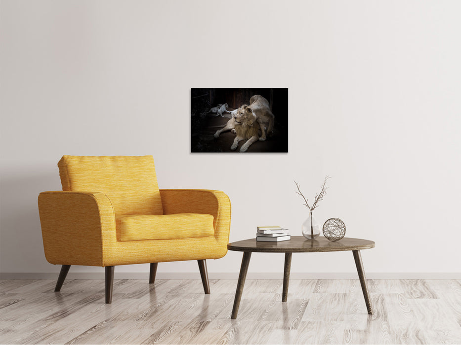 Canvas print The lion couple