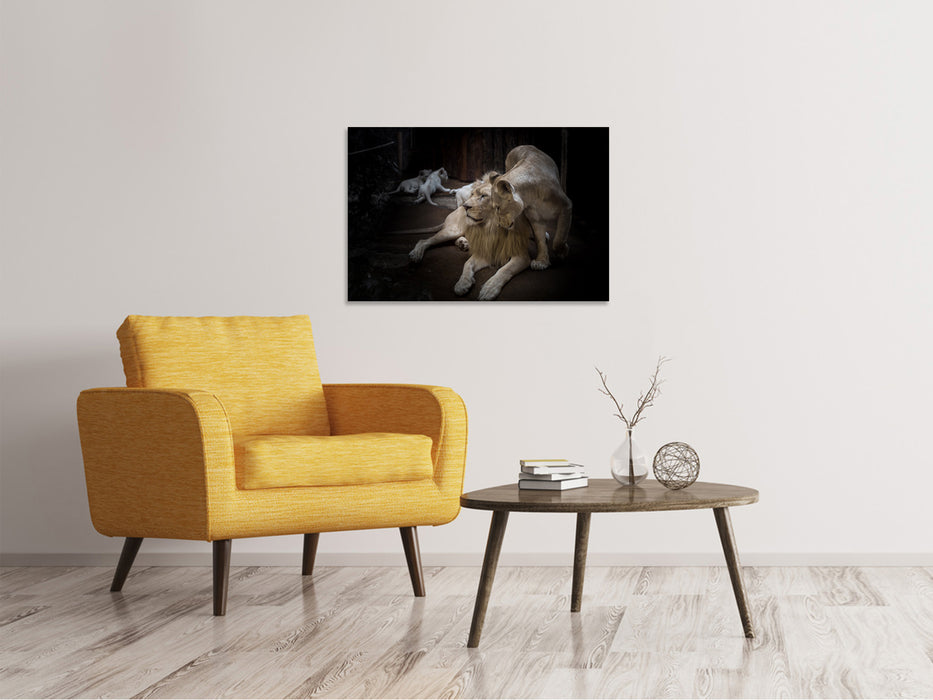 Canvas print The lion couple