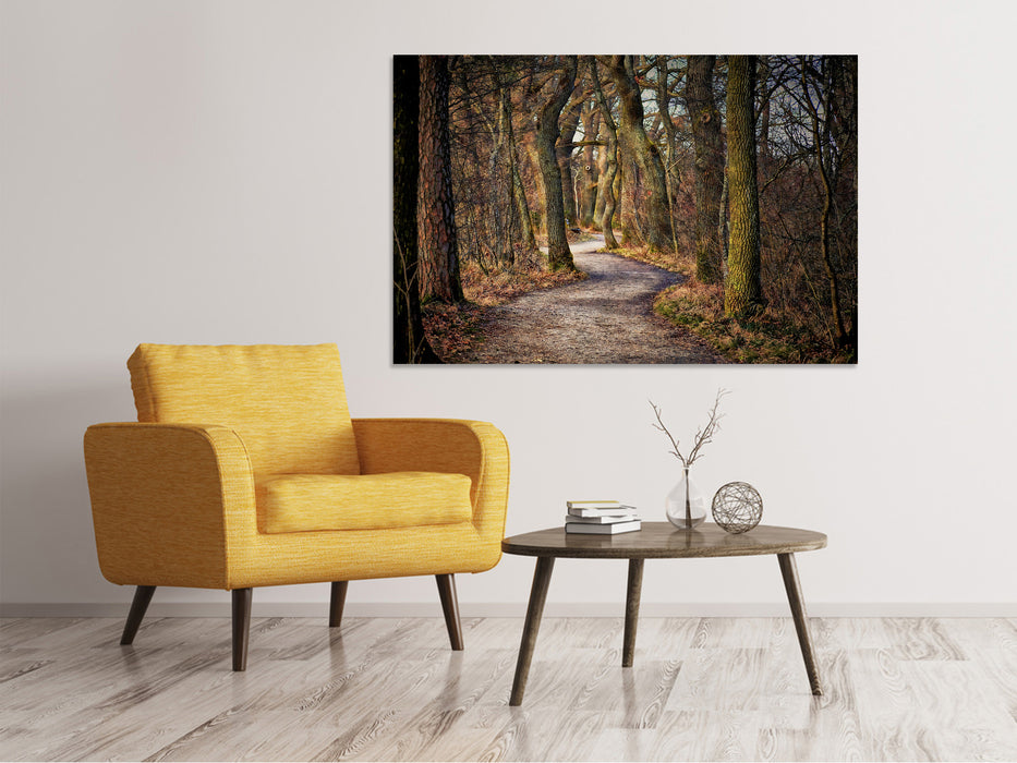 Canvas print fairytale forest