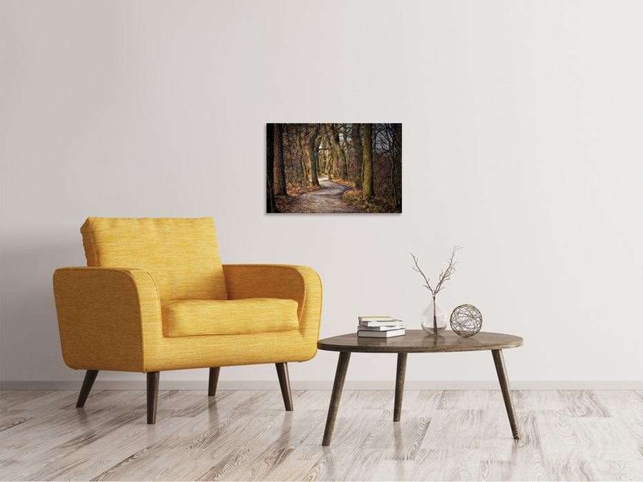 Canvas print fairytale forest