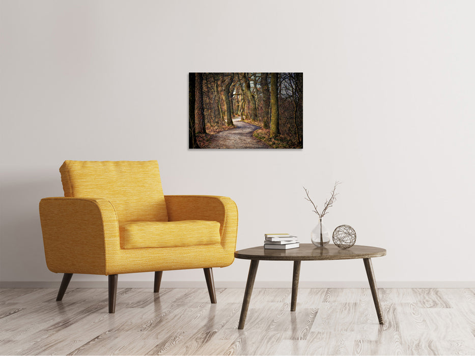 Canvas print fairytale forest