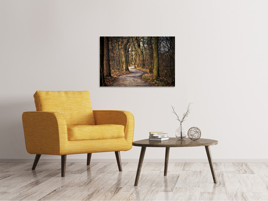 Canvas print fairytale forest