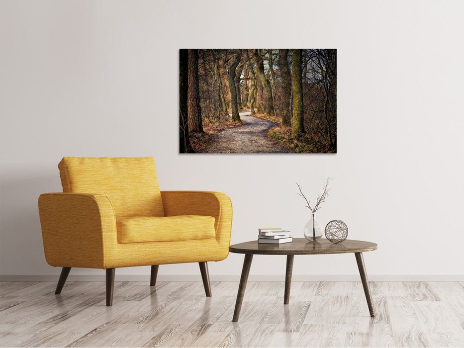 Canvas print fairytale forest