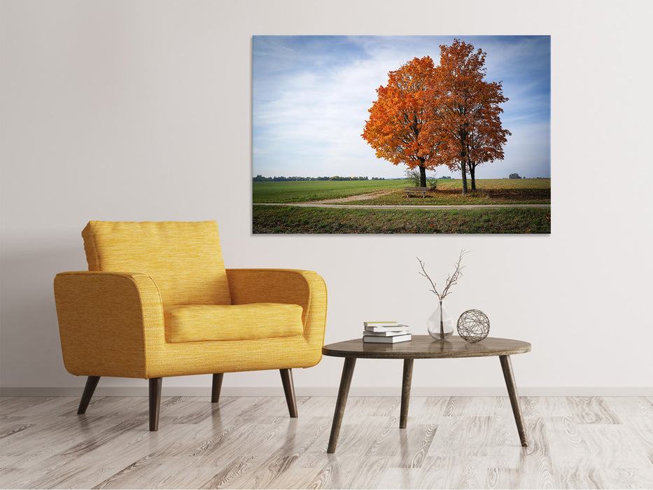 Canvas print The 3 trees