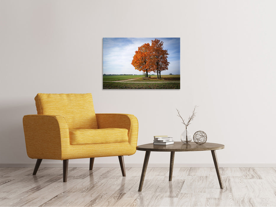 Canvas print The 3 trees