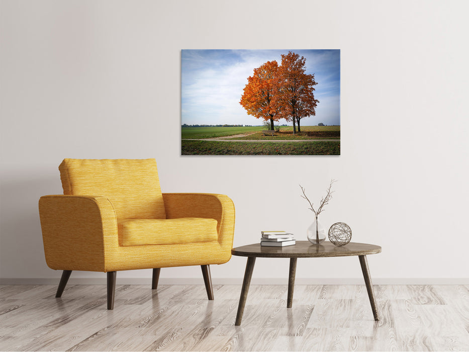 Canvas print The 3 trees