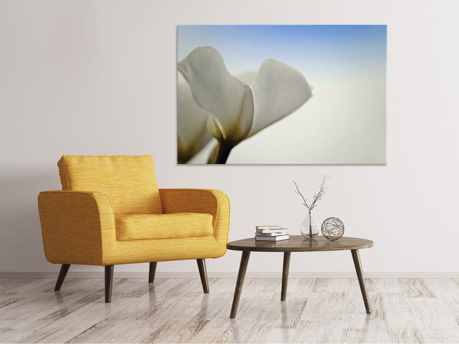 Canvas print The leaf of a lily flower