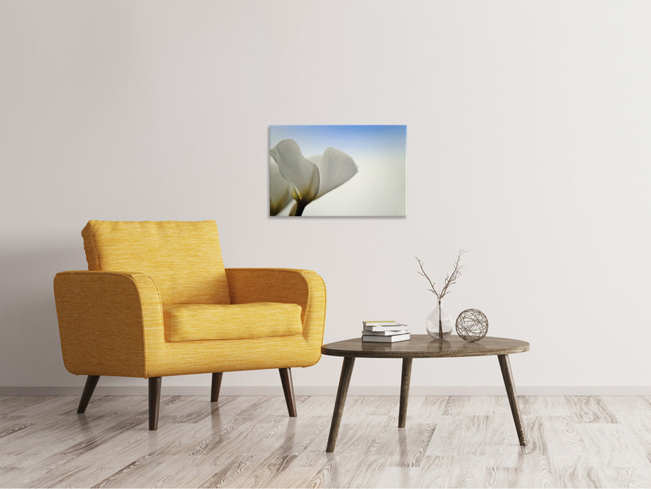 Canvas print The leaf of a lily flower