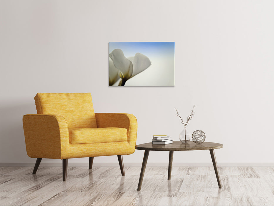 Canvas print The leaf of a lily flower