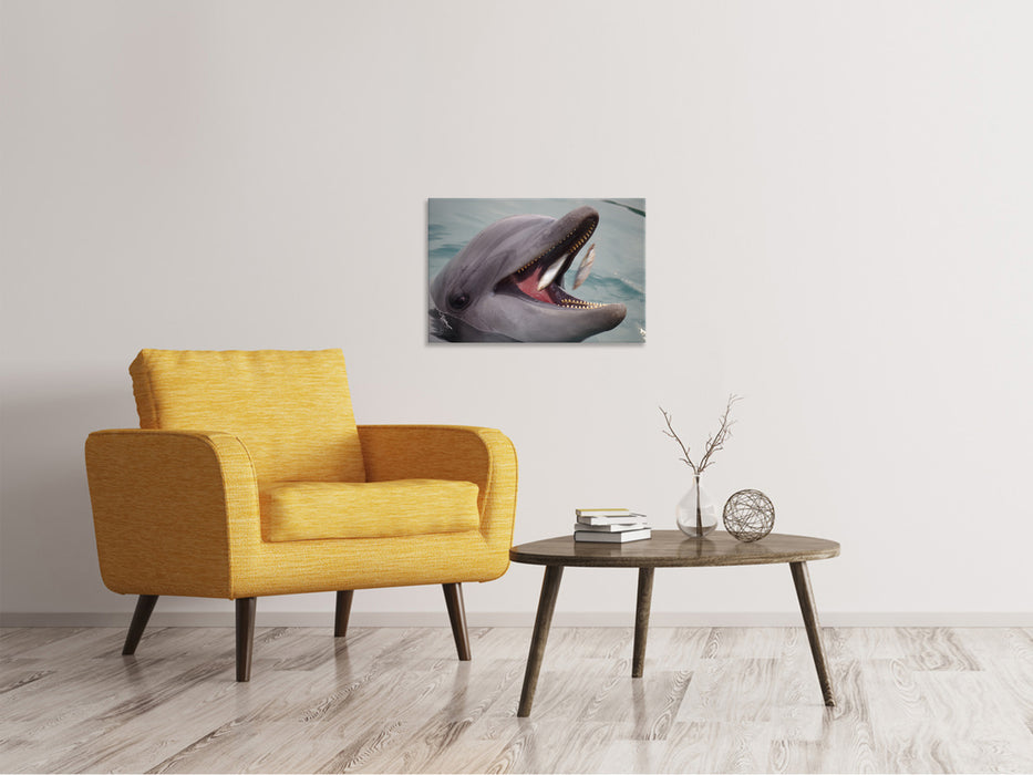 Canvas print Dinner time for a dolphin