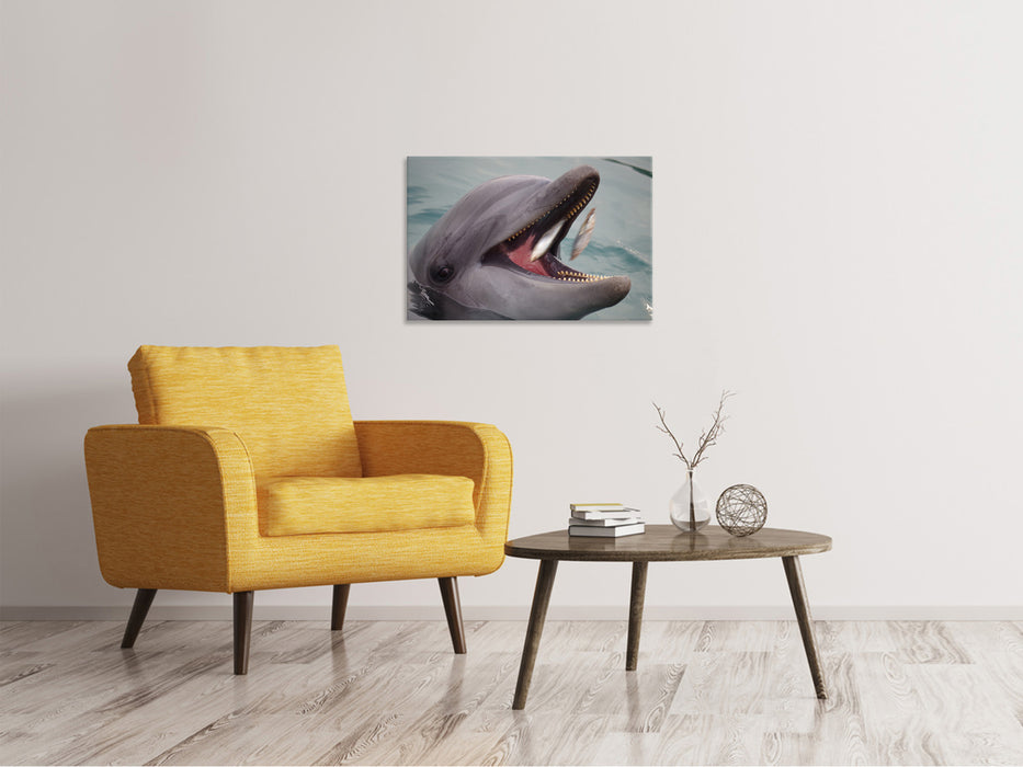 Canvas print Dinner time for a dolphin