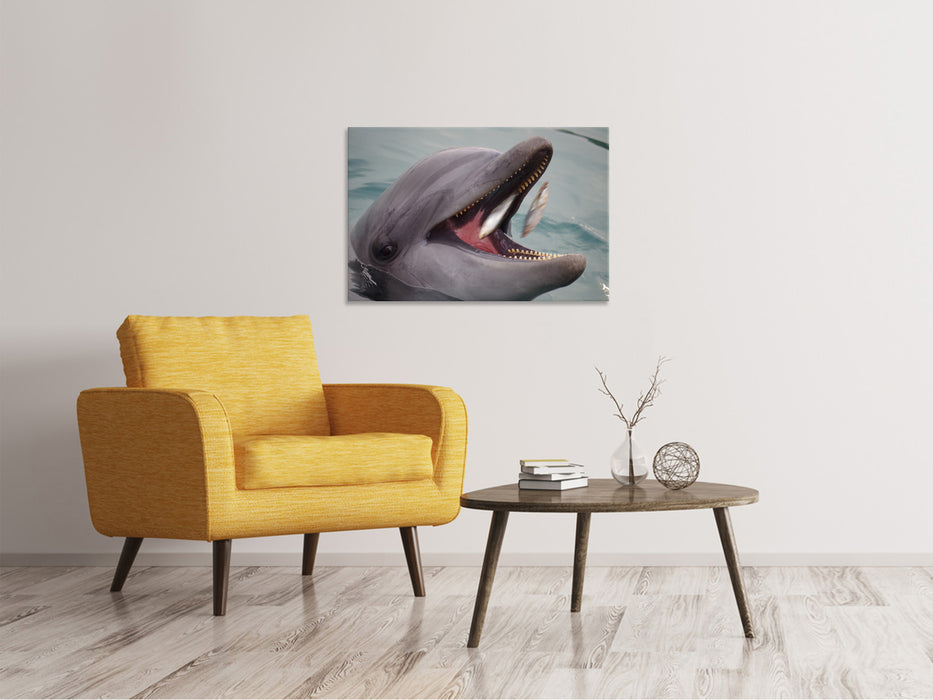 Canvas print Dinner time for a dolphin