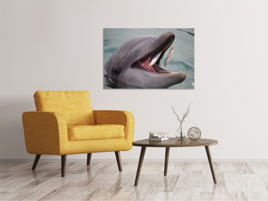 Canvas print Dinner time for a dolphin