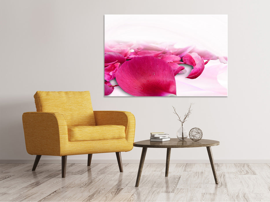 Canvas print rose petals in pink