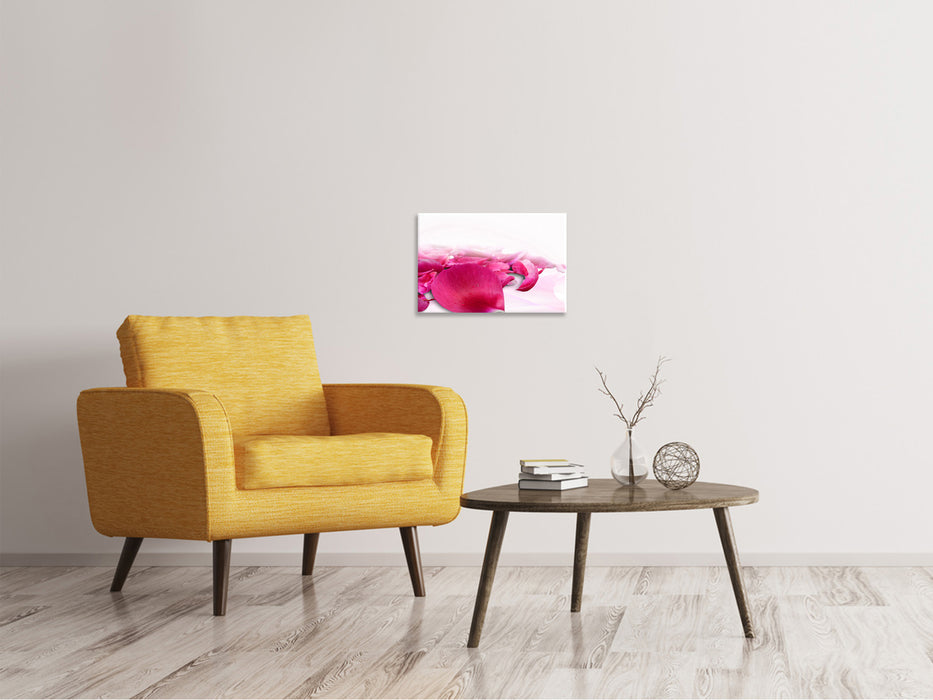 Canvas print rose petals in pink