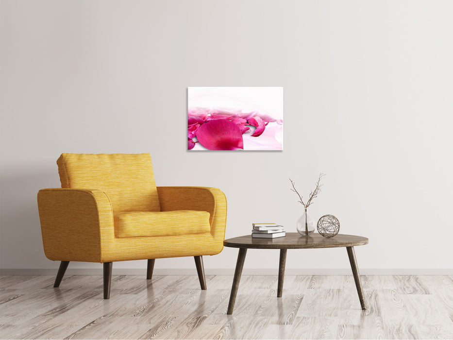 Canvas print rose petals in pink