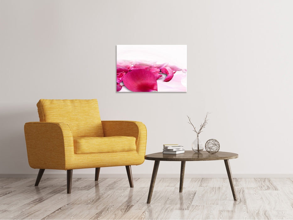 Canvas print rose petals in pink