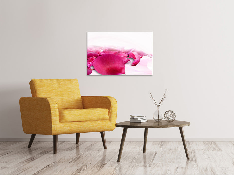 Canvas print rose petals in pink