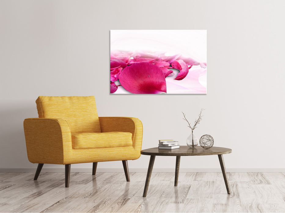 Canvas print rose petals in pink