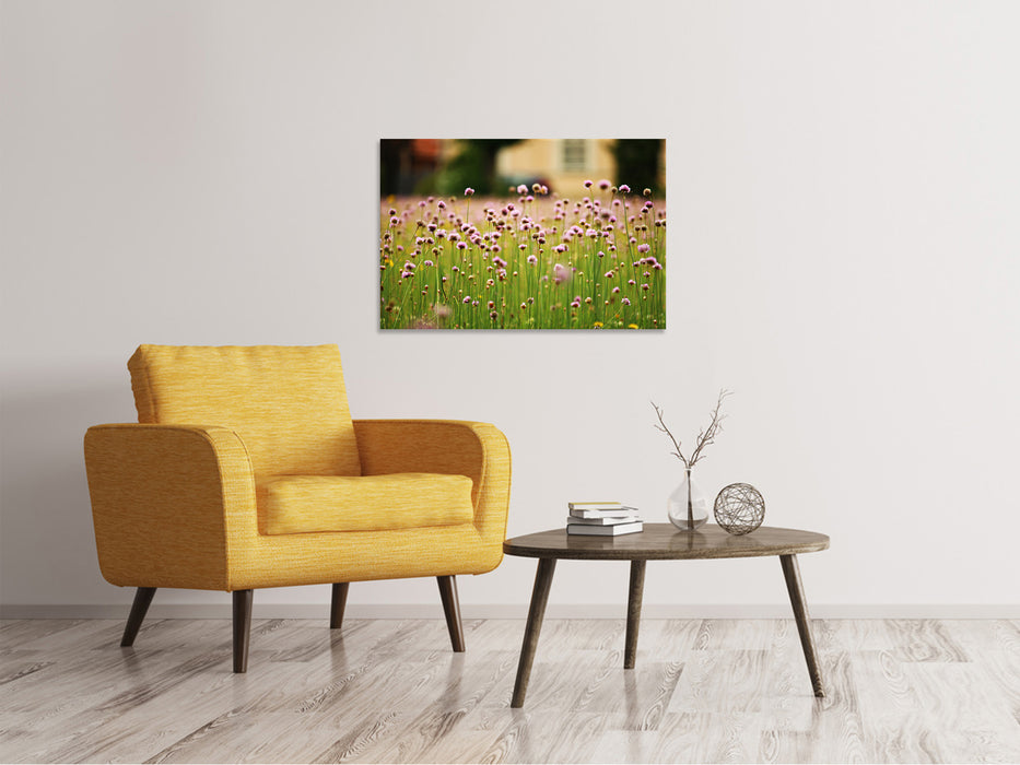 Canvas print A meadow full of flowers