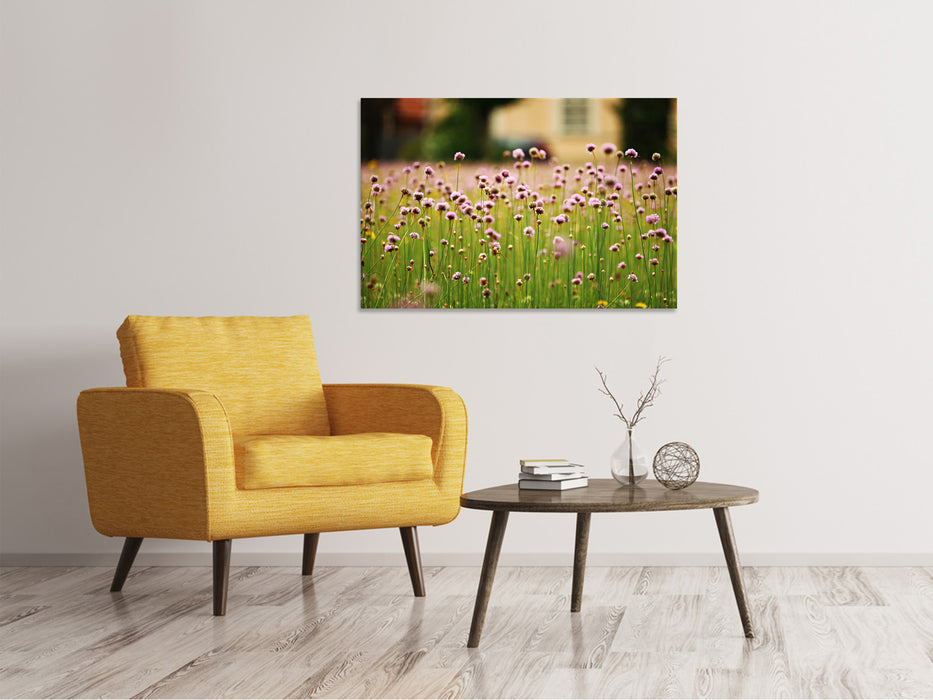 Canvas print A meadow full of flowers