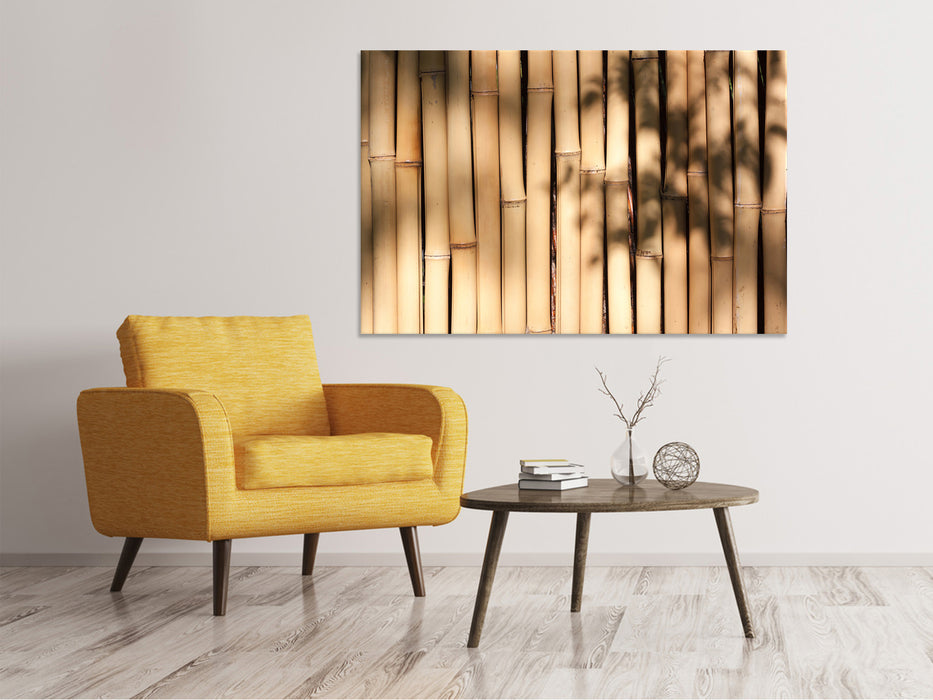 Canvas print Natural bamboo