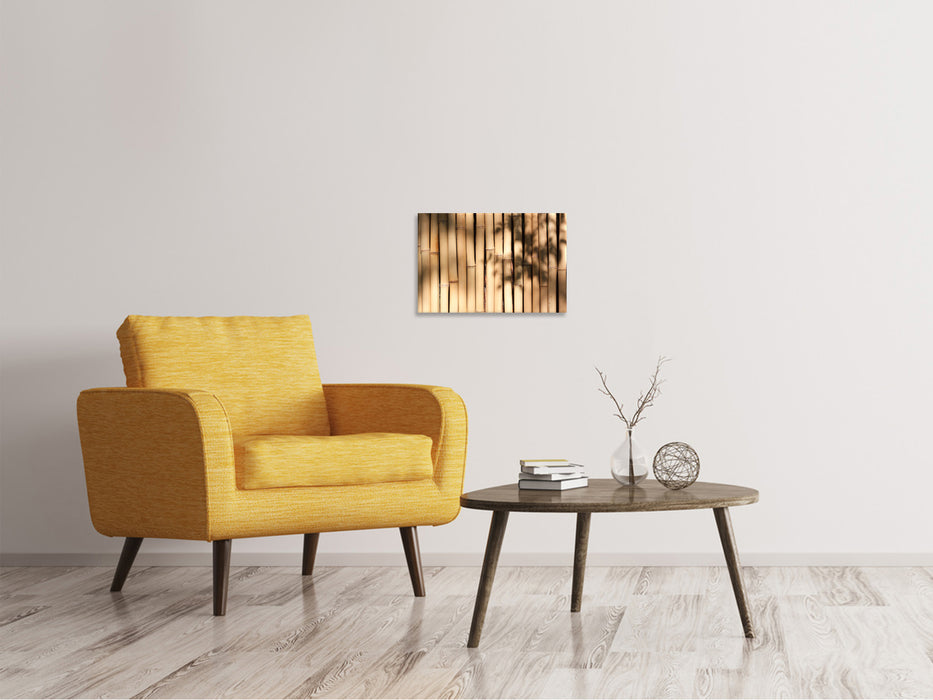 Canvas print Natural bamboo