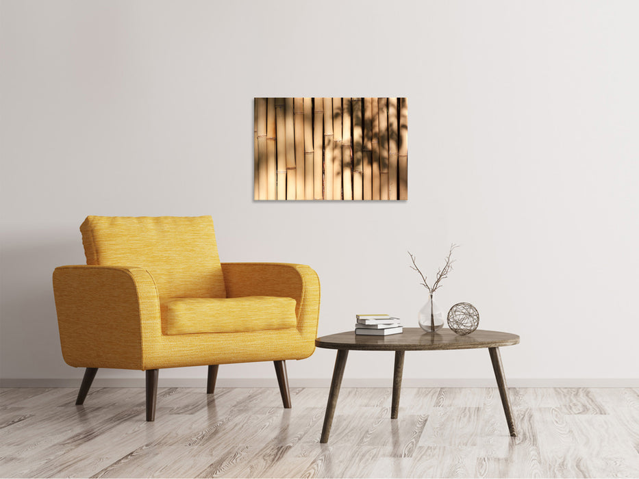 Canvas print Natural bamboo