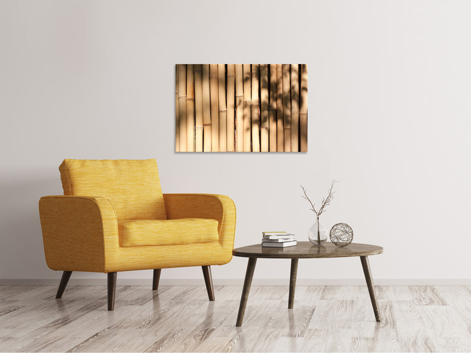 Canvas print Natural bamboo