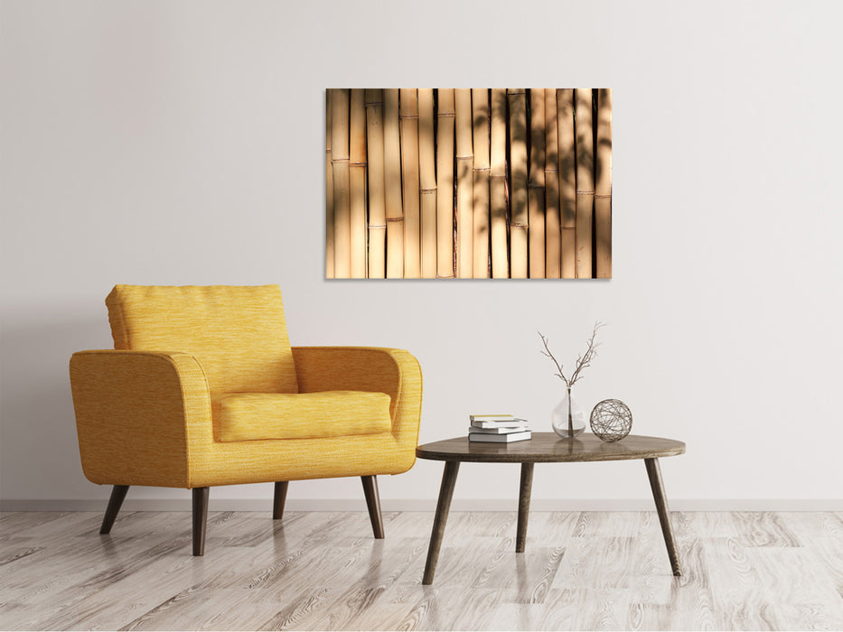 Canvas print Natural bamboo