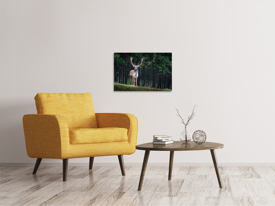 Canvas print The Fallow Deer 2