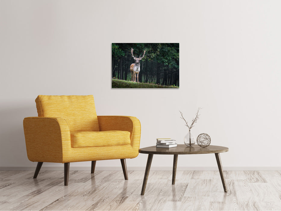 Canvas print The Fallow Deer 2